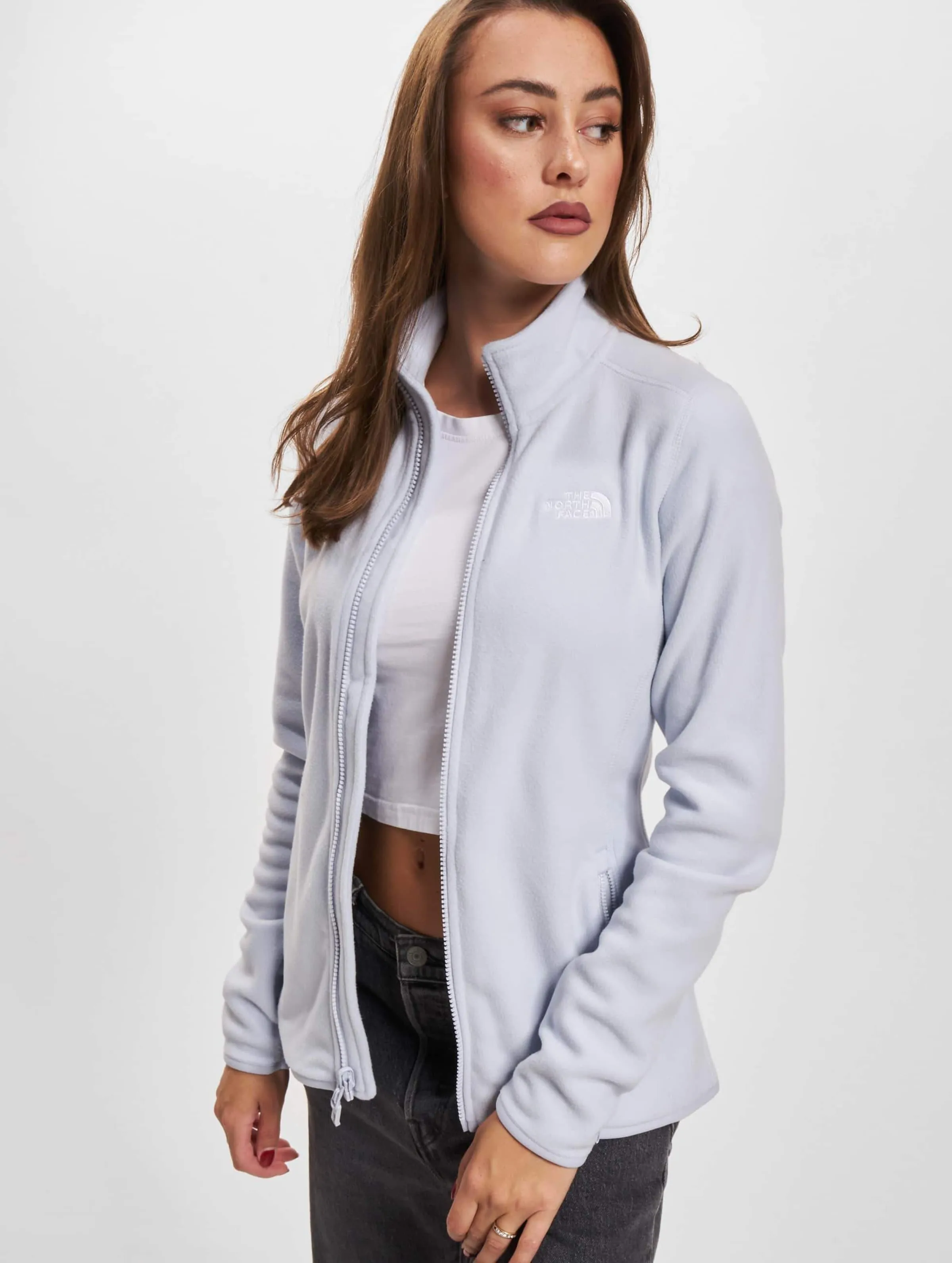 The North Face The North Face 100 Glacier Transition Jacket Dusty